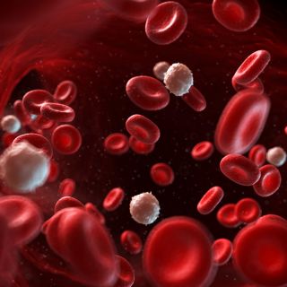 Oczyszcza naczynia krwionośne